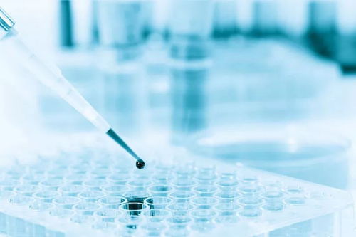 美國生物科技公司Counsyl獲8000萬美元融資，加速臨床級產前基因篩查推廣